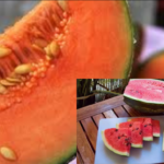 Study: Melons relieve stress and fatigue